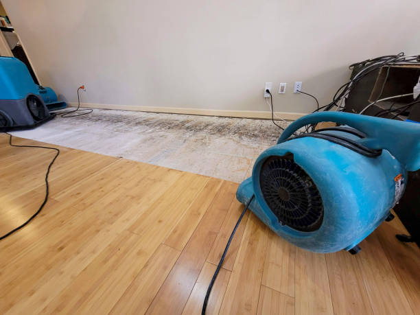 Professional Water Damage Repair technician working in Fredonia, KS